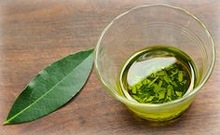 Herbal Export Bay Leaf Essential Oil