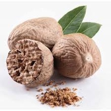 Seeds Natural Nutmeg Essential Oil, Certification : MSDS, COA