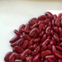 Common Red Kidney Beans