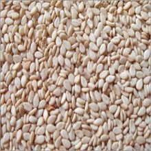 Common sesame seeds, Purity : 99.95