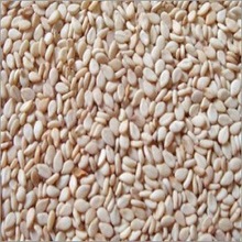 sesame seeds