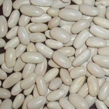 White Kidney Beans