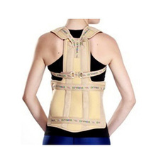 Hot Selling Taylor's Brace Support Belt