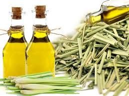 Lemongrass Oil, Color : Pale Yellow, Packaging Type : Bottle