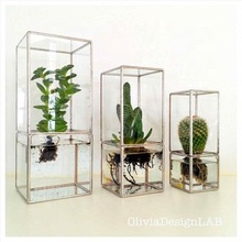 Glass Terrarium Box