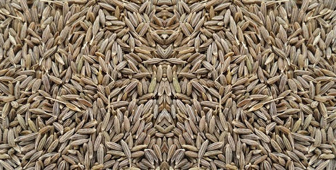 Cumin seeds