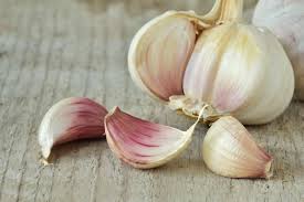 Organic fresh garlic, Packaging Type : Plastic Bags