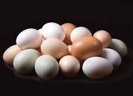 Desi eggs, Size : 40gram