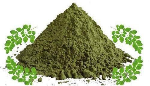 Organic Drumstick Leaves Powder, Packaging Type : Paper Packet, Plastic Packet
