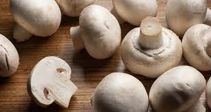 Fresh Mushroom, Color : White