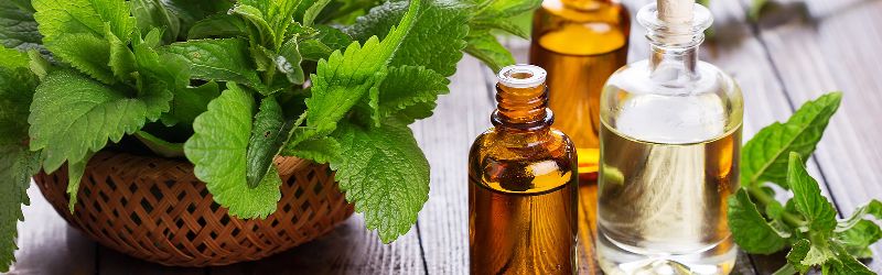 Peppermint Oil, 200 ml at Rs 3600/kg in Mumbai