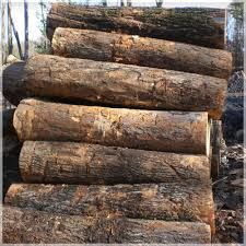 Hardwood Logs