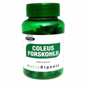 Coleus Forskohlii Capsules