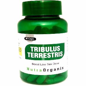 Tribulus Terrestris Capsules