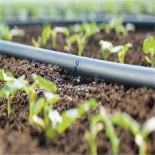 12mm drip irrigation pipes