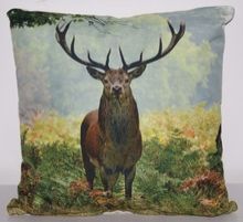 Digital Printed Cushion