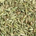 SAVISORTEX Fennel Seeds, Color : GREEN