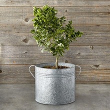 TLT Metal Galvanized Planter,