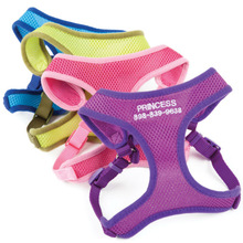 Dog Clothing and harness