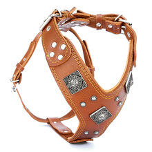 Leather Dog Harness And Leash, Feature : Eco-Friendly, Stocked