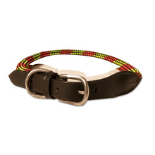 safety dog collar
