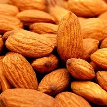 Seeds Almond Oil, Certification : CE, GMP, MSDS, COA