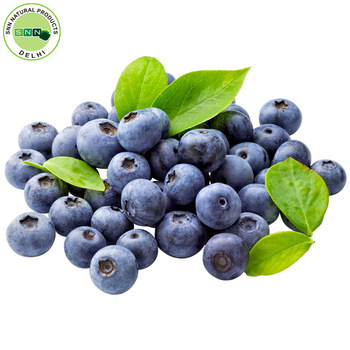 Blueberry seed oil