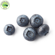 Cold Pressed Blueberry Seed Oil