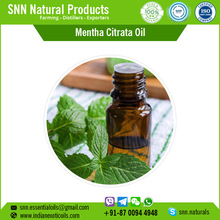 Mentha Citrata Oil