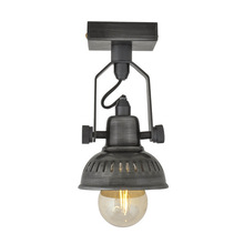 Amson Brass Flush Mounting Ceiling Light, Color : Grey Pewter
