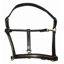 Leather Horse Halter with strip, Style : English Saddle