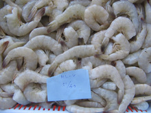 Shrimps Vannamei, Certification : BRC, EEC, ISO, HALAL