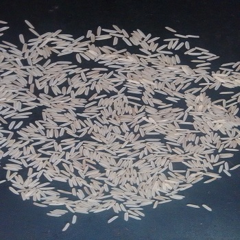 Common long grain rice, Packaging Type : 25kg / 50kg PP Bags