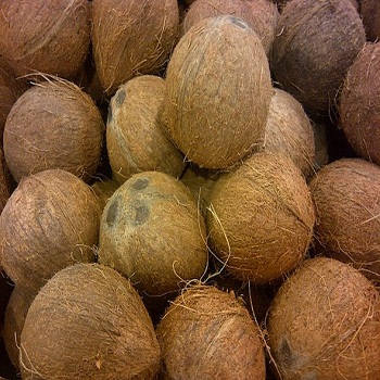 SPE Common Semi-Husked Matured Coconut, Color : Brown