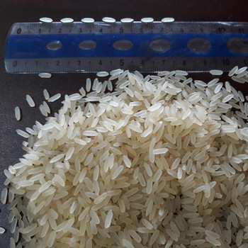 SPE organic rice, Certification : SGS