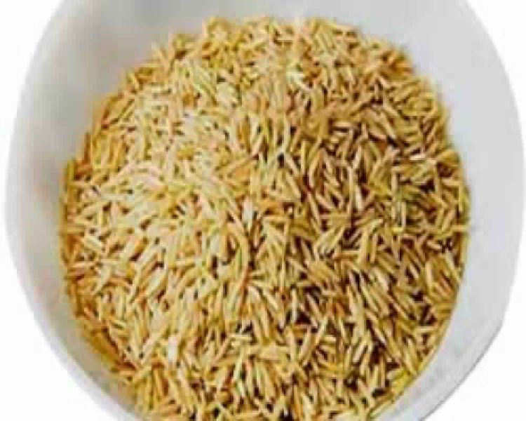 Organic Basmati Rice