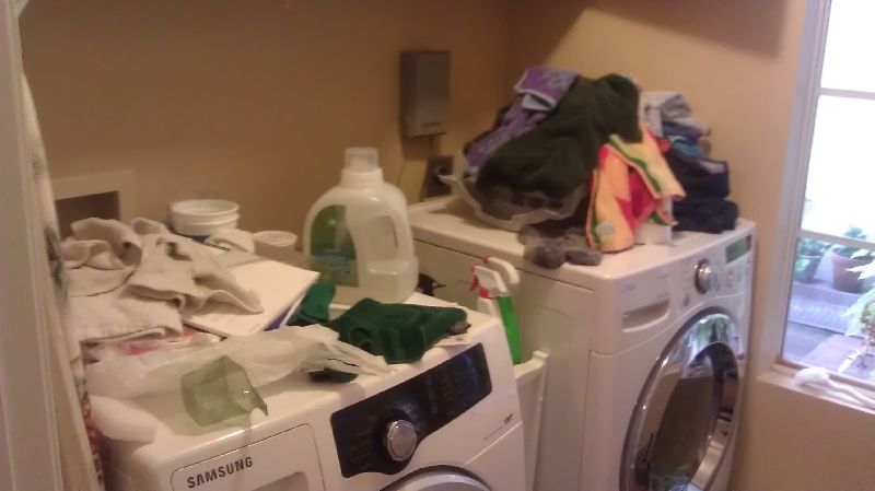 Laundry Consultants