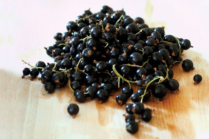 Organic Black Currants, Form : Fresh
