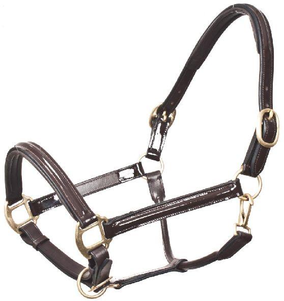 Horse Halter