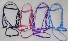 Horse Racing bridle