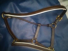 Leather Padded Halter For Horses