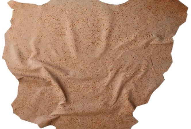 Sheep Carebtta Fashion Beige