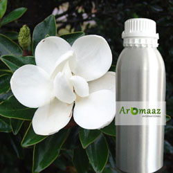 Magnolia Hydrosol