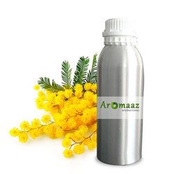 Mimosa Floral Absolute Oil, Botanical Name : Acaica Mirensi