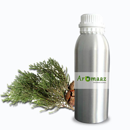 Organic Cypress Essential Oil