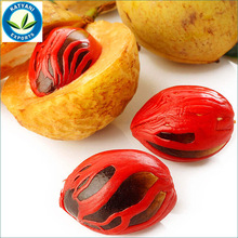 Fresh and Organic Nutmeg Oil, Certification : CE, GMP, MSDS, ISO