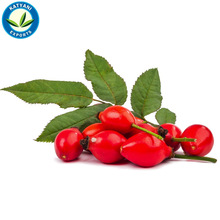 Katyani Fresh Rosehip Seed Oil, Certification : MSDS