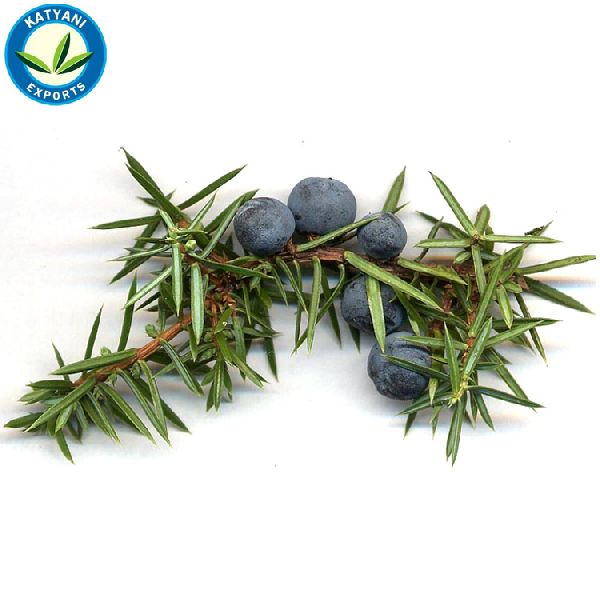 Juniperus Communis Oil