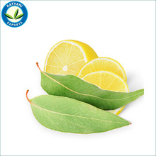 Lemon eucalyptus oil