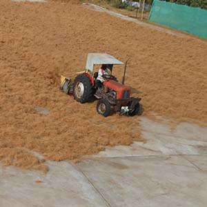 Coconut Coir Fiber, for Dusting Wiper, Ropes, Hardness : Hard, Soft